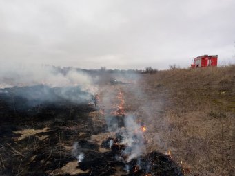 ​Контролируемый отжиг совместно с добровольцами