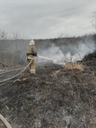 ​Все вместе боремся с палами сухой травы