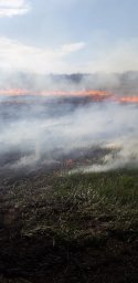 ​Горение сухой растительности в д. Букреевские выселки