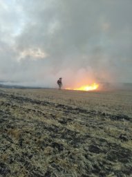 ​Горение поля успешно ликвидировано