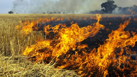Штраф за поджог сухой травы
