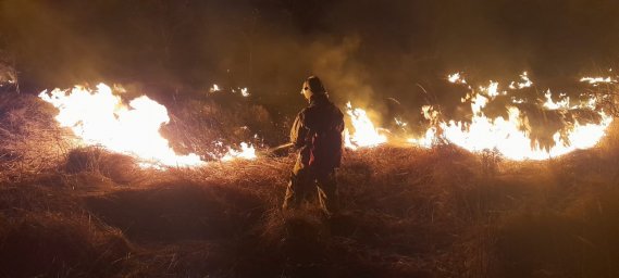 ​Огнеборцы Рыльского, Дмитриевского и Золотухинского района ликвидируют горение сухой травы