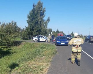 ​Пожарные на ДТП в с.Громашовка Железногорского района