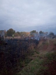 ​Огнеборцы ПЧ Хомутовского района на тушении сухой травы