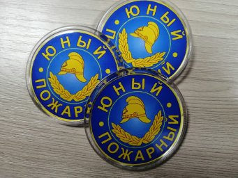 ​Посвящение в Дружину Юных Пожарных