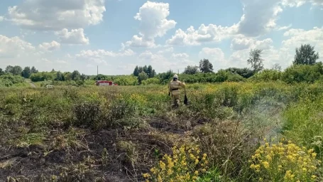 ​Защитим деревню! Фатежские огнеборцы на борьбе с горением сухой травы