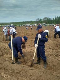 Пожарные Фатежского района приняли участие в акции "Сад памяти"