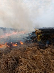 Рыльские огнеборцы ликвидировали горение сухой травы