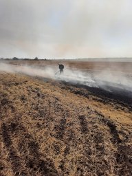 ​Непростой воскресный день черемисиновских пожарных