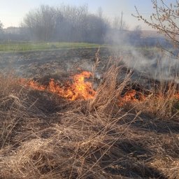 Горение сухой растительности в районах Курской области