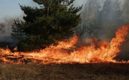 ​В лесах Курской области стартовал пожароопасный сезон