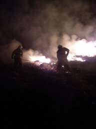 ​Горение сухой травы в д. Зорино ликвидировано