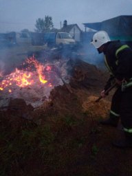 ​11 пожаров за неделю ликвидировано силами огнеборцев Противопожарной службы