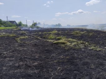 Горение сухой травы в Курском районе