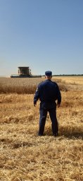 ​Уборочная кампания в Кореневском районе под контролем