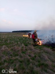 Горение сухой травы в Рыльском районе