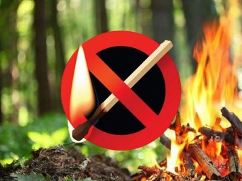 Противопожарная служба напоминает, что в регионе действует особый противопожарный режим