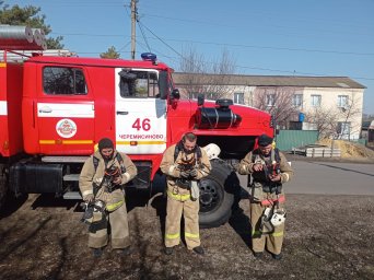 ​ПТЗ в Черемисиновском и Курском районах
