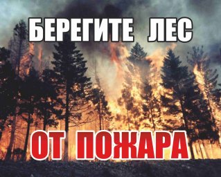 Берегите лес от пожара! (ролик)