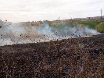 Возгорание сухой травы в д. Остапово Железногорского района