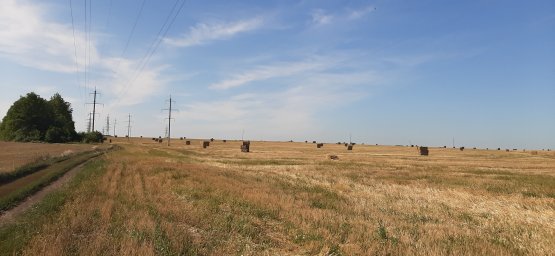 ​Противопожарный рейд в Полевском сельсовете