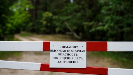 Из-за пожарной опасности посещение лесов - под запретом
