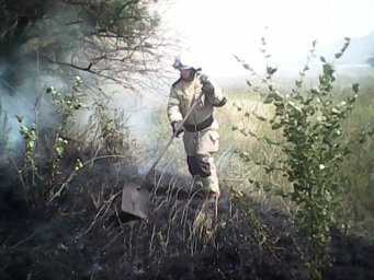 ​Возгорание сухой оперативно ликвидировано огнеборцами