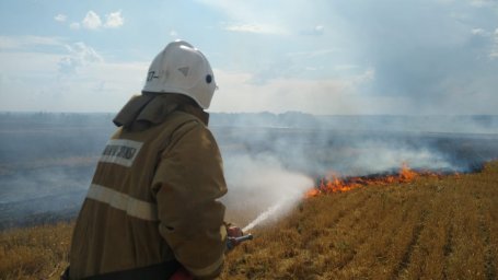 Возгорание стерни в д. Букреевка Золотухинского района