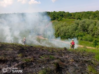 ​Рыльские пожарные не допустили распространения огня в лесной массив