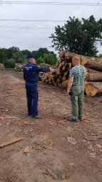 ​Проверка деревоперерабатывающего предприятия в Хомутовском районе
