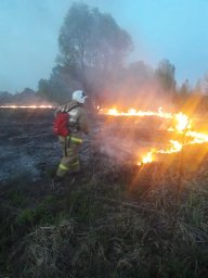 ​Огнеборцы Курского района тушили траву и участвовали в ликвидации последствий ДТП