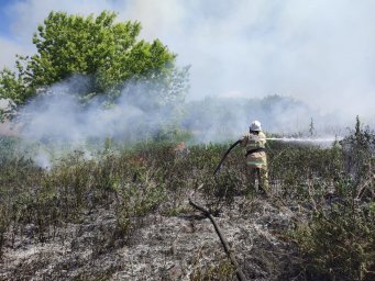 ​Огнеборцы ПЧ Курского района на тушении возгорания