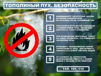 Тополиный пух. Безопасность