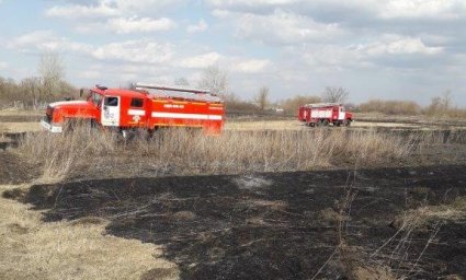 Курские огнеборцы за неделю ликвидировали 43 пожара
