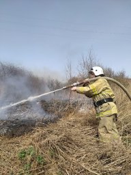 ​Огнеборцы Курского района на борьбе с горением сухой травы