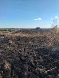 ​Горение травы в д. Шестопалово Золотухинского района ликвидировано