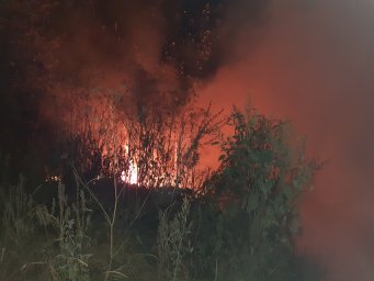 ​Огнеборцы ПЧ №38 ликвидировали возгорание мусора