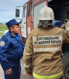 ​Проверка кореневских ДПК