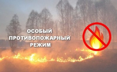 ​В Курской области введен особый противопожарный режим!