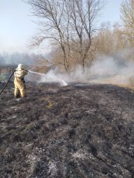 ​Солнцевские пожарные ликвидируют горение сухой травы