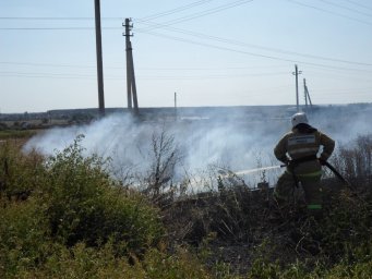 ​Пожарные продолжают борьбу с горением сухой травы