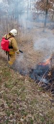 В Глушковском районе ликвидировано возгорание сухой травы