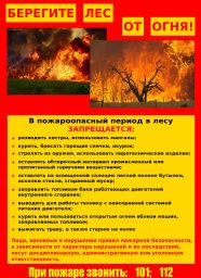 Берегите лес от пожара!