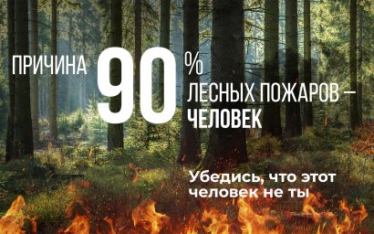 Не допусти лесного пожара!