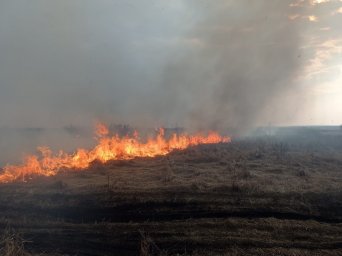 ​Черемисиновские пожарный ликвидировали загорание травы.