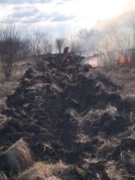 ​Опыт Фатежского района по предупреждению ландшафтных пожаров