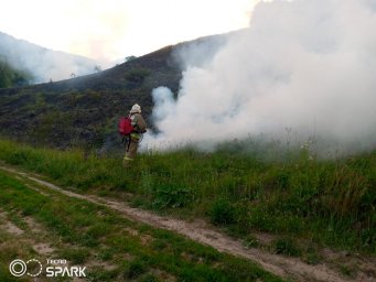 ​Рыльский борцы с огнем ликвидировали горение травы
