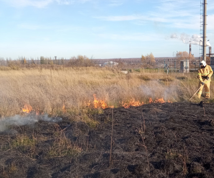 ​Горение травы у поселка Солнечный Золотухинского района ликвидировано