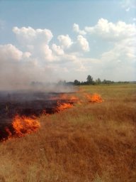 ​Пожар в деревне Малая Шумаковка ликвидирован огнеборцами Курского района