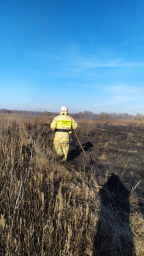 ​Солнцевские огнеборцы 4 раза за день выезжали на тушение сухой травы